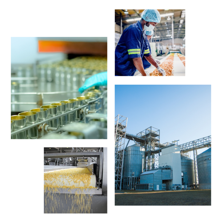 Food processing collage with a canning line, a worker inspecting food on a conveyor, a processing conveyor and grain storage silos