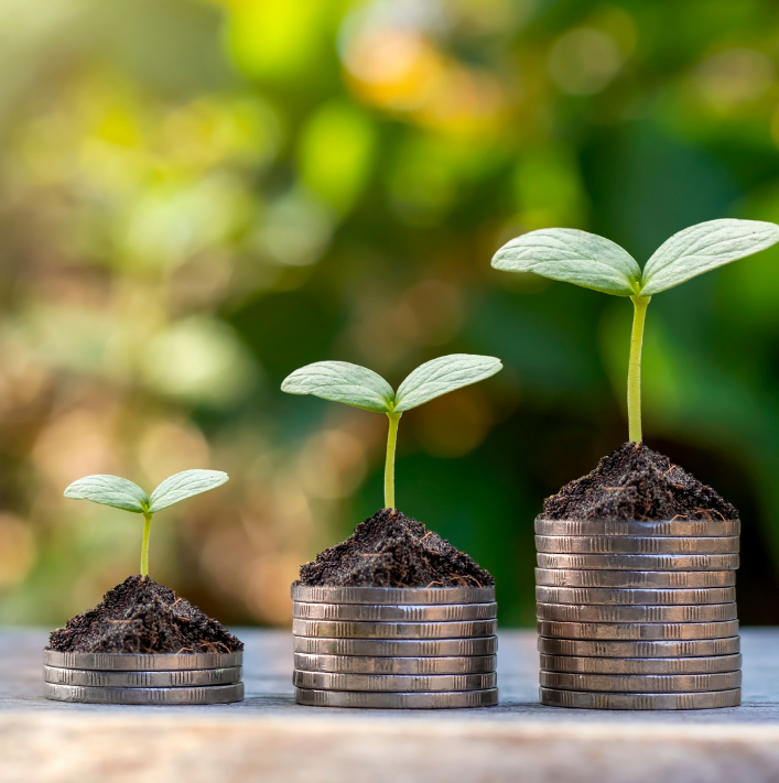 Seedlings growing on stacks of coins, representing L7 Group finance