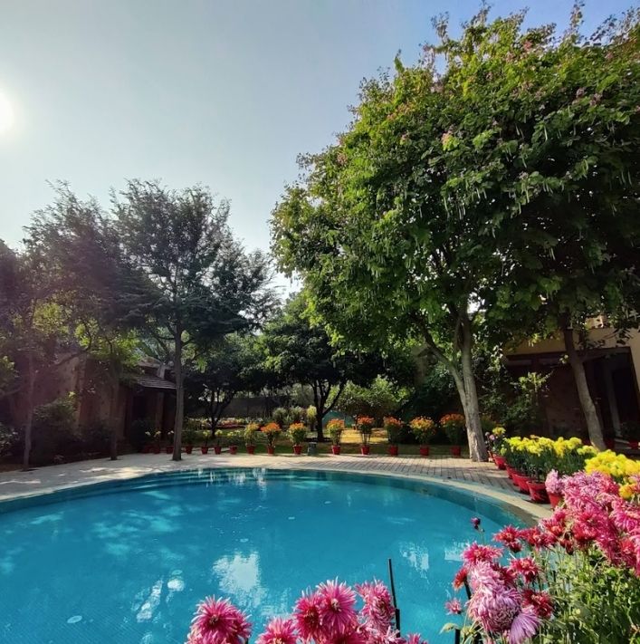 Swimming pool surrounded by trees and flowers at Chattarpur Farms (L7 Group)